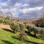 Le Scope 5* Villa (Siena)