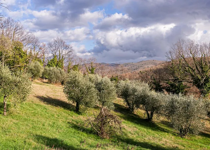 Le Scope 5* Villa (Siena)